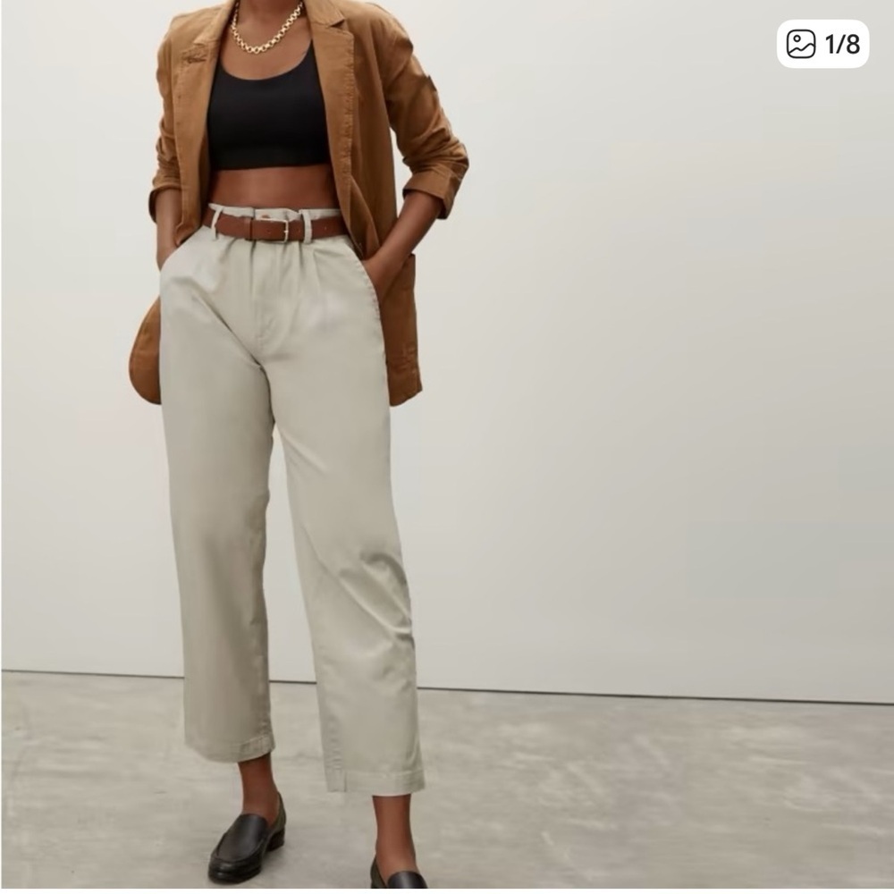 Everlane Pleated Chinos Khaki Tan Sz 4